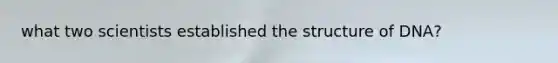 what two scientists established the structure of DNA?