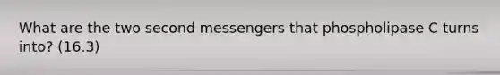 What are the two second messengers that phospholipase C turns into? (16.3)