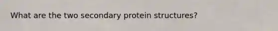 What are the two secondary protein structures?