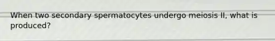 When two secondary spermatocytes undergo meiosis II, what is produced?