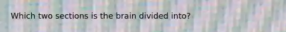 Which two sections is <a href='https://www.questionai.com/knowledge/kLMtJeqKp6-the-brain' class='anchor-knowledge'>the brain</a> divided into?