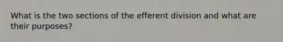 What is the two sections of the efferent division and what are their purposes?