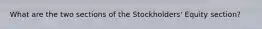 What are the two sections of the Stockholders' Equity section?