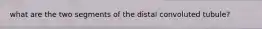 what are the two segments of the distal convoluted tubule?