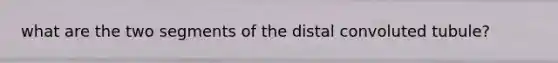 what are the two segments of the distal convoluted tubule?