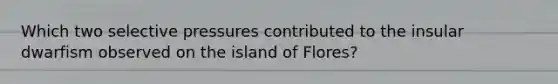 Which two selective pressures contributed to the insular dwarfism observed on the island of Flores?