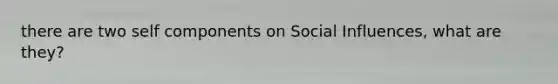 there are two self components on Social Influences, what are they?