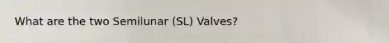 What are the two Semilunar (SL) Valves?