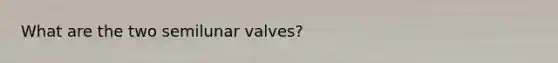 What are the two semilunar valves?