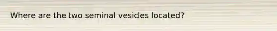 Where are the two seminal vesicles located?