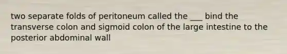 two separate folds of peritoneum called the ___ bind the transverse colon and sigmoid colon of the large intestine to the posterior abdominal wall