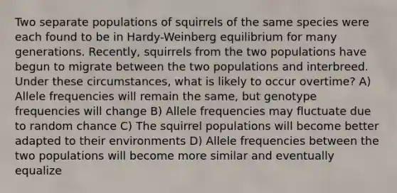 Two separate populations of squirrels of the same species were each found to be in Hardy-Weinberg equilibrium for many generations. Recently, squirrels from the two populations have begun to migrate between the two populations and interbreed. Under these circumstances, what is likely to occur overtime? A) Allele frequencies will remain the same, but genotype frequencies will change B) Allele frequencies may fluctuate due to random chance C) The squirrel populations will become better adapted to their environments D) Allele frequencies between the two populations will become more similar and eventually equalize