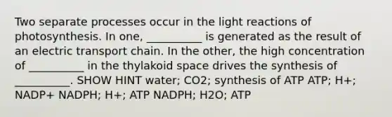 Two separate processes occur in the light reactions of photosynthesis. In one, __________ is generated as the result of an electric transport chain. In the other, the high concentration of __________ in the thylakoid space drives the synthesis of __________. SHOW HINT water; CO2; synthesis of ATP ATP; H+; NADP+ NADPH; H+; ATP NADPH; H2O; ATP