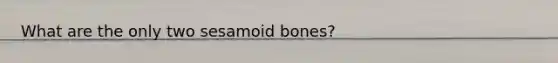 What are the only two sesamoid bones?