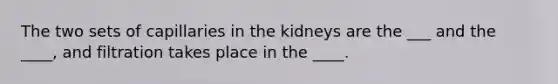 The two sets of capillaries in the kidneys are the ___ and the ____, and filtration takes place in the ____.