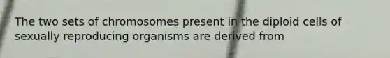 The two sets of chromosomes present in the diploid cells of sexually reproducing organisms are derived from