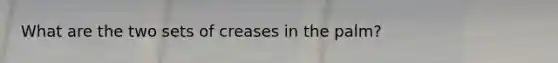 What are the two sets of creases in the palm?