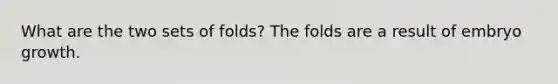 What are the two sets of folds? The folds are a result of embryo growth.