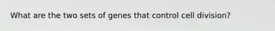 What are the two sets of genes that control cell division?
