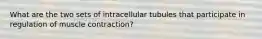 What are the two sets of intracellular tubules that participate in regulation of muscle contraction?