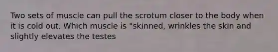 Two sets of muscle can pull the scrotum closer to the body when it is cold out. Which muscle is "skinned, wrinkles the skin and slightly elevates the testes