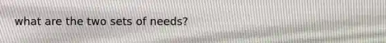 what are the two sets of needs?