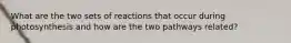 What are the two sets of reactions that occur during photosynthesis and how are the two pathways related?