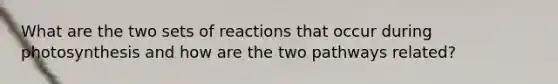 What are the two sets of reactions that occur during photosynthesis and how are the two pathways related?