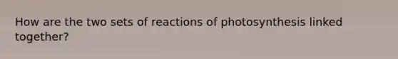 How are the two sets of reactions of photosynthesis linked together?