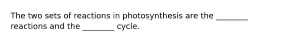 The two sets of reactions in photosynthesis are the ________ reactions and the ________ cycle.