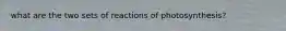 what are the two sets of reactions of photosynthesis?