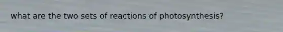 what are the two sets of reactions of photosynthesis?