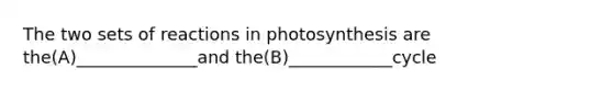 The two sets of reactions in photosynthesis are the(A)______________and the(B)____________cycle