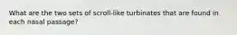 What are the two sets of scroll-like turbinates that are found in each nasal passage?