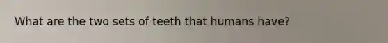 What are the two sets of teeth that humans have?