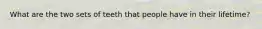 What are the two sets of teeth that people have in their lifetime?