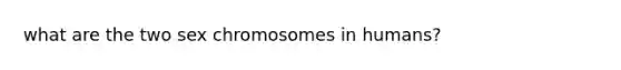 what are the two sex chromosomes in humans?