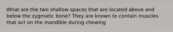 What are the two shallow spaces that are located above and below the zygmatic bone? They are known to contain muscles that act on the mandible during chewing