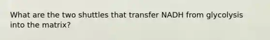 What are the two shuttles that transfer NADH from glycolysis into the matrix?