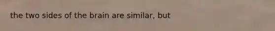 the two sides of the brain are similar, but