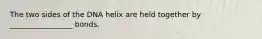The two sides of the DNA helix are held together by _________________ bonds.