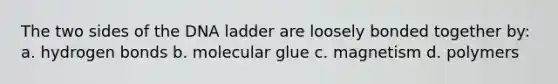 The two sides of the DNA ladder are loosely bonded together by: a. hydrogen bonds b. molecular glue c. magnetism d. polymers