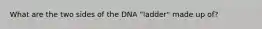 What are the two sides of the DNA "ladder" made up of?