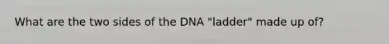 What are the two sides of the DNA "ladder" made up of?