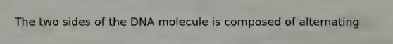 The two sides of the DNA molecule is composed of alternating