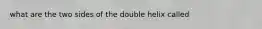 what are the two sides of the double helix called