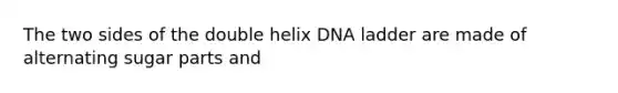 The two sides of the double helix DNA ladder are made of alternating sugar parts and