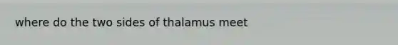 where do the two sides of thalamus meet