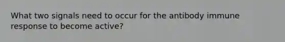 What two signals need to occur for the antibody immune response to become active?