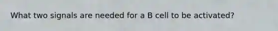 What two signals are needed for a B cell to be activated?